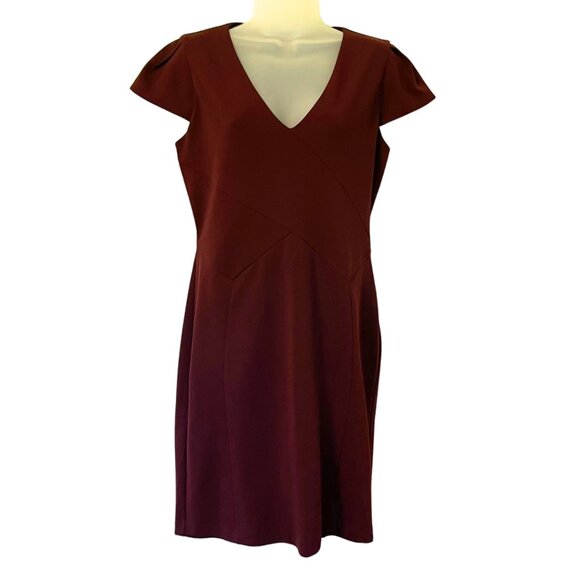 Express cap sleeve v-neck dress | Wine color | Size Medium - Picture 1 of 6